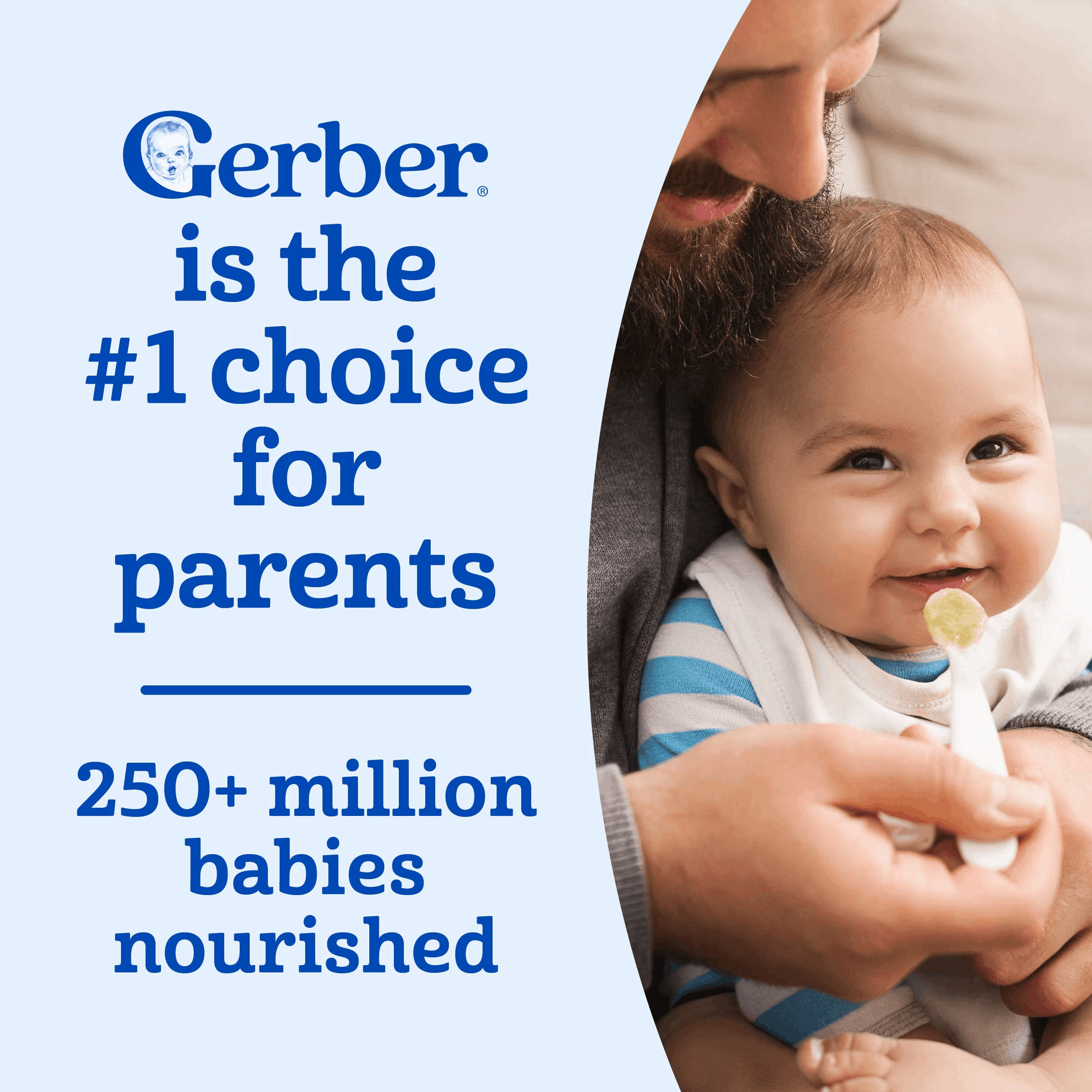 Gerber Hearty Bits Informational Image